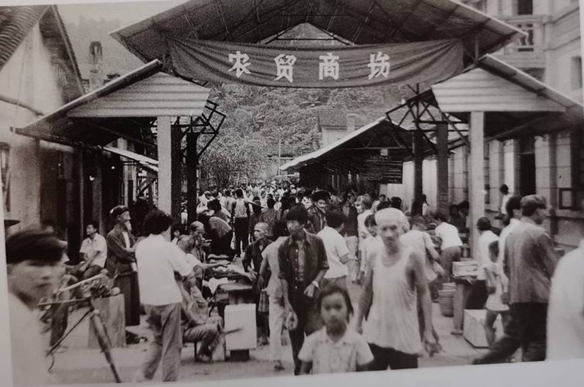 洁术友明贸易